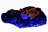 Fluorescent Zircon Crystal in Biotite Schist - Norway #228205-3